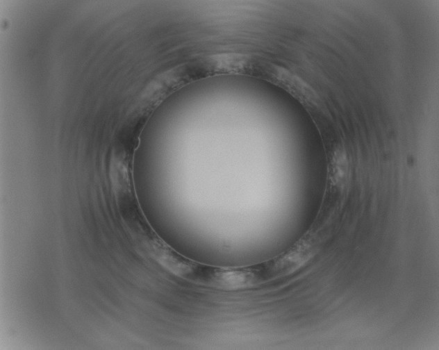 X0000076330522200610061439