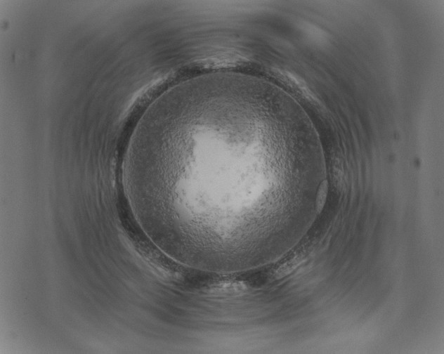 X0000076330543200610061438