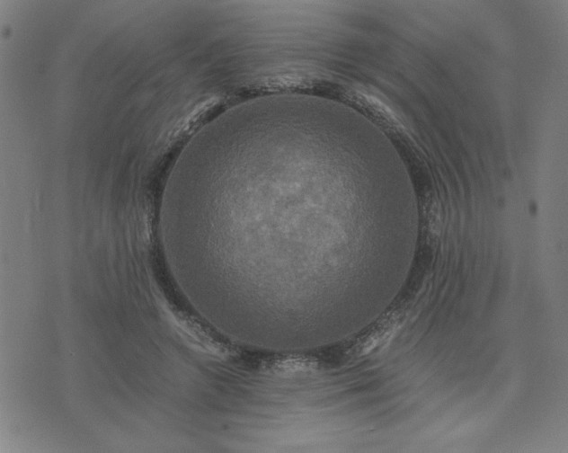 X0000076330546200610061438