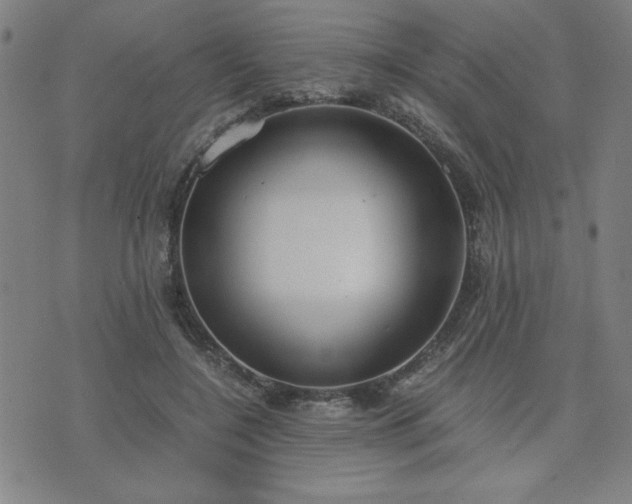 X0000076330548200610061438
