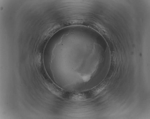 X0000076330550200610061438