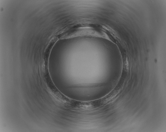 X0000076330552200610061438