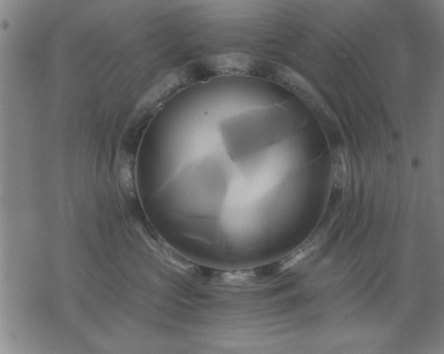 X0000076330573200610061439