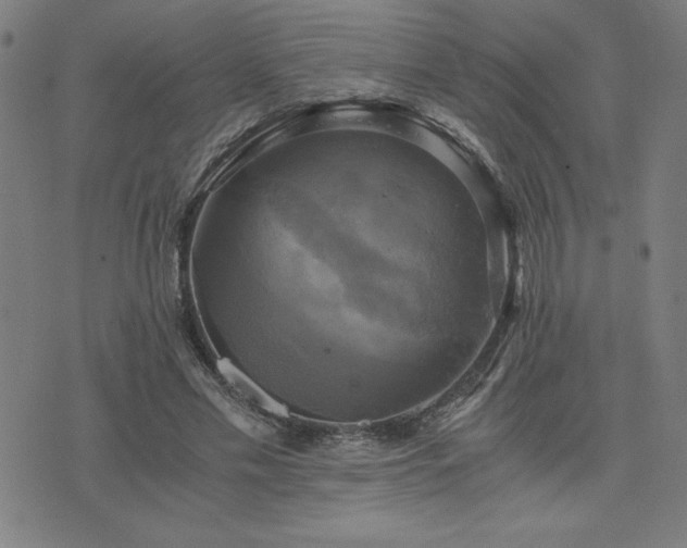 X0000076330589200610061438