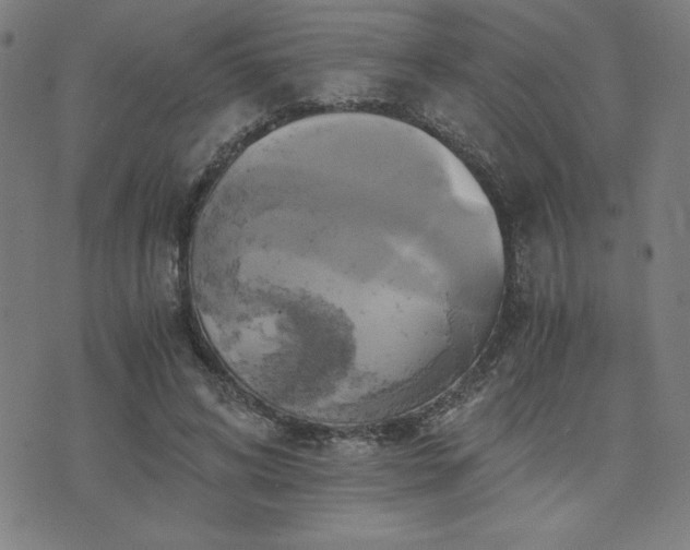 X0000076330592200610061438
