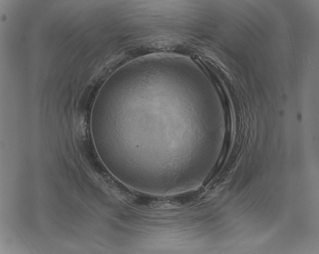 X0000076330597200610061437