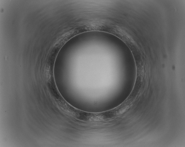 X0000076330599200610061437