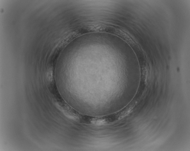 X0000076330602200610061437