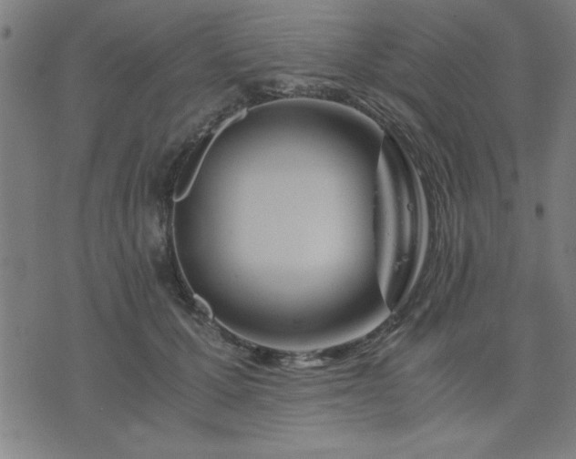 X0000076330607200610061437