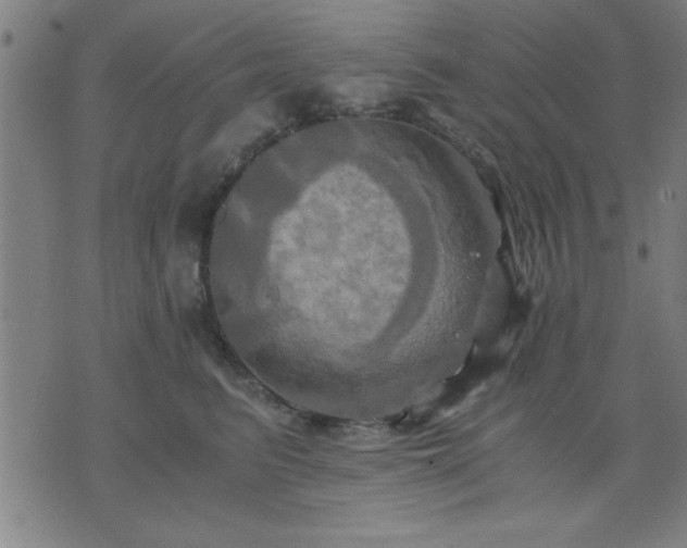 X0000076330615200610061437