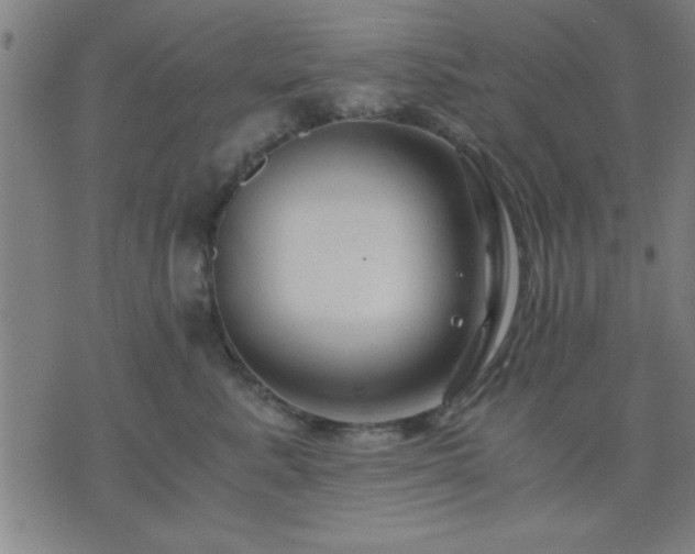 X0000076330619200610061437