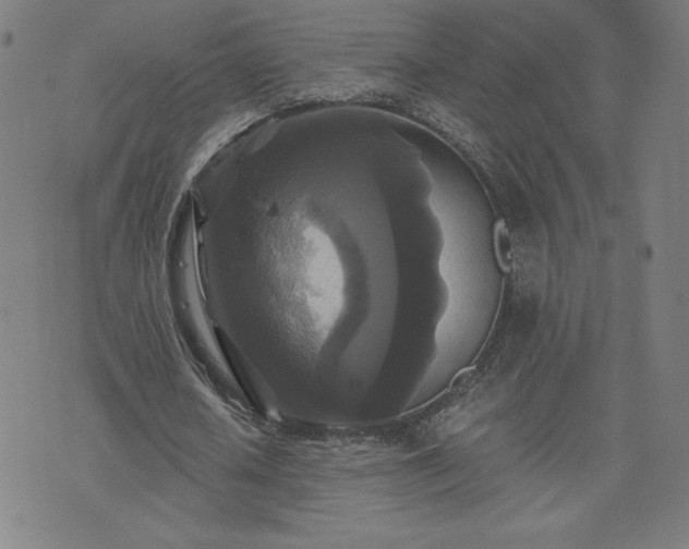 X0000076330626200610061436