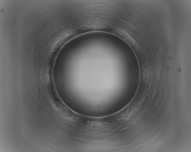 X0000076330635200610061436