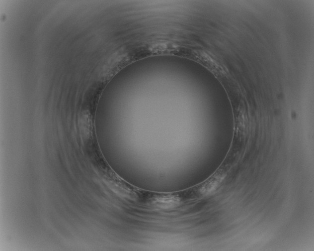 X0000076330659200610061437