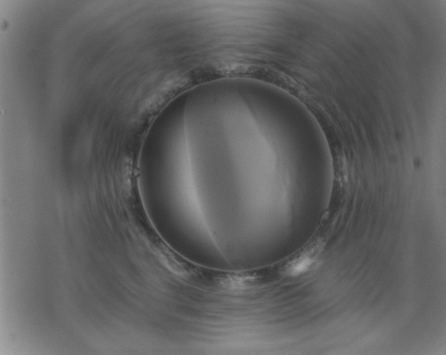X0000076330664200610061437