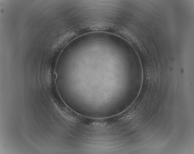 X0000076330690200610061436