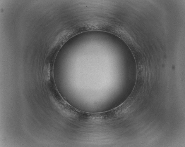 X0000076330694200610061436