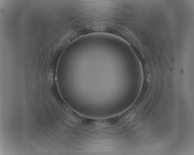 X0000076330697200610061436