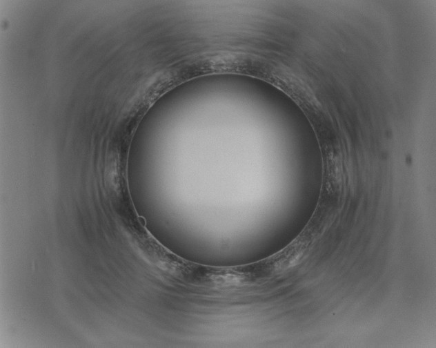 X0000076330698200610061436