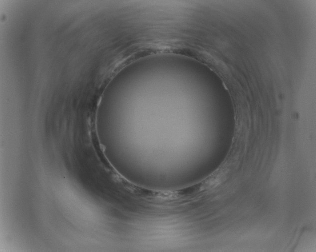 X0000076330720200610061435