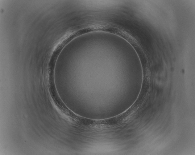 X0000076330730200610061435