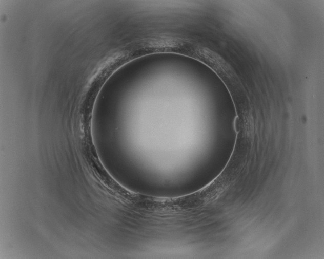 X0000076330731200610061435