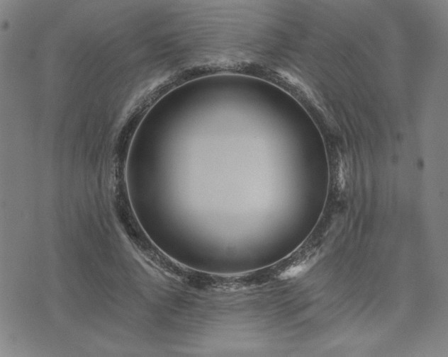 X0000076330736200610061435