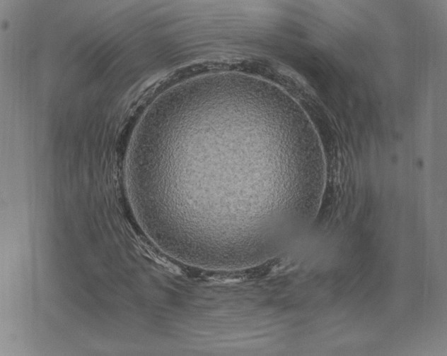 X0000076330773200610061434