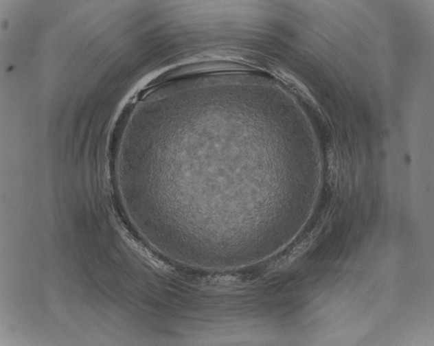 X0000076330784200610061434
