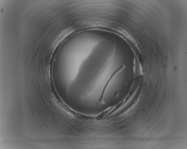 X0000076330790200610061434