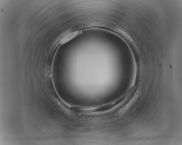 X0000076330793200610061434