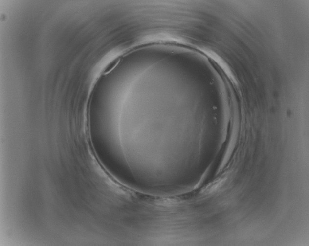 X0000076330815200610061434