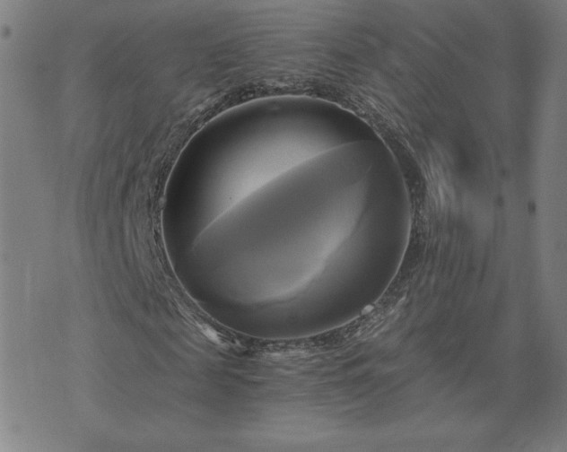 X0000076330817200610061433