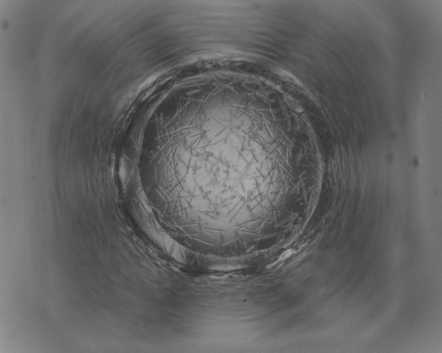 X0000076330822200610061433