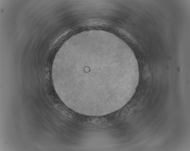 X0000076330824200610061433