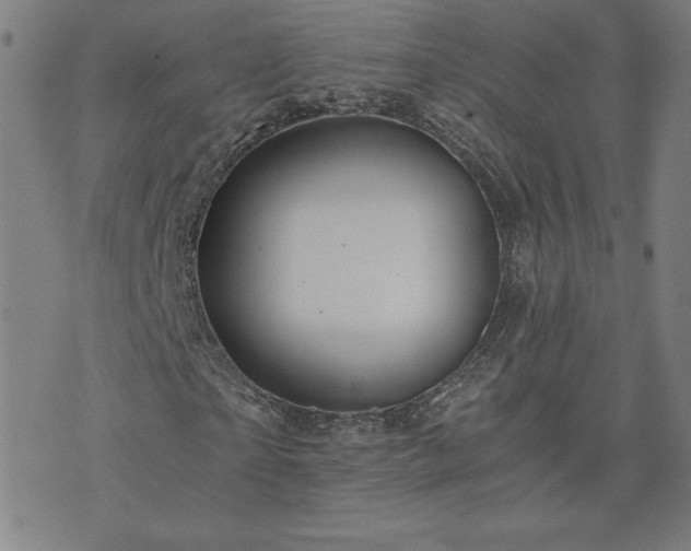 X0000076330865200610061433