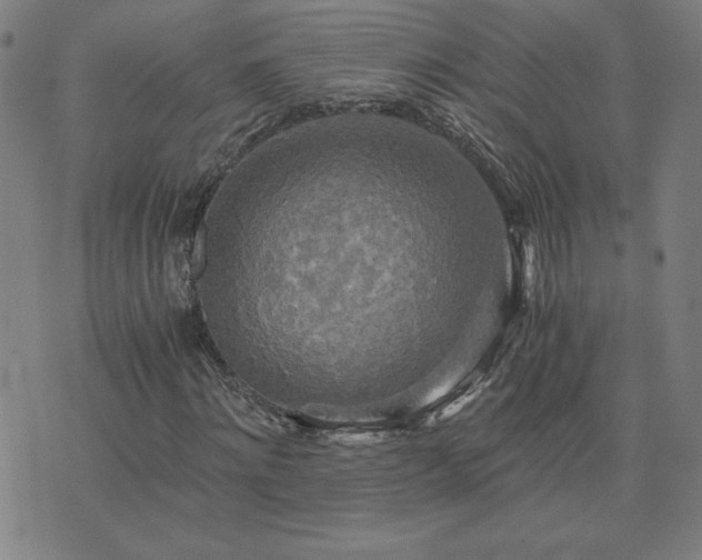 X0000076330868200610061433