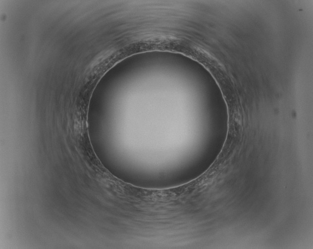 X0000076330869200610061433
