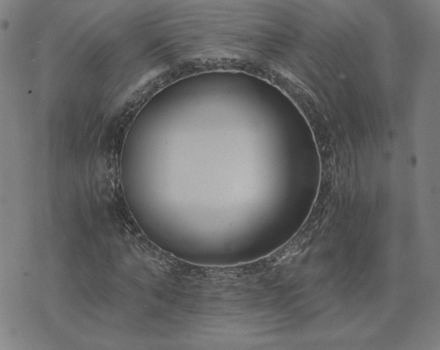 X0000076330870200610061433