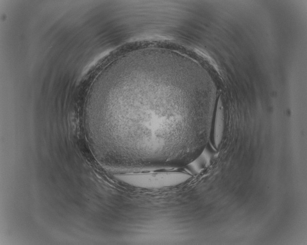X0000076330872200610061433