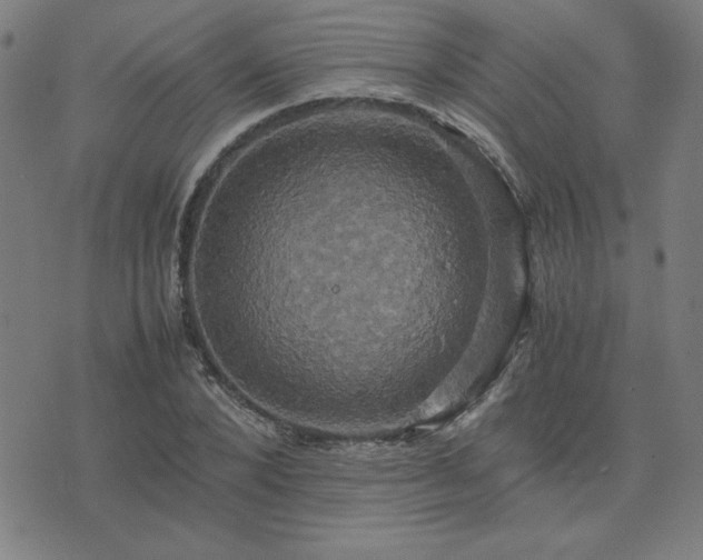 X0000076330880200610061433