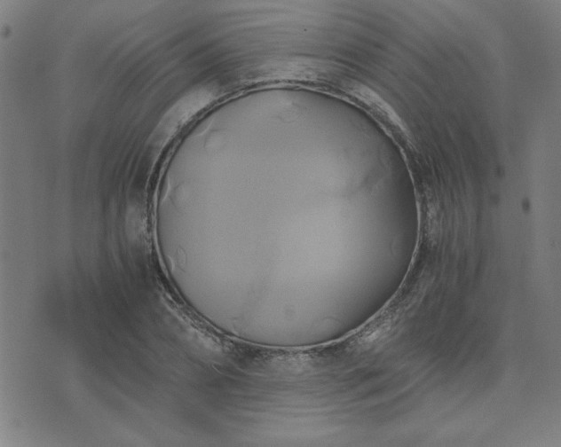 X0000076330882200610061433