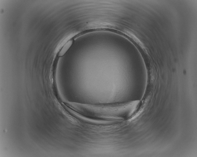 X0000076330885200610061433