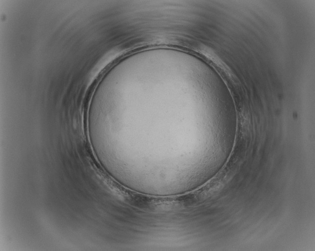 X0000076330886200610061433