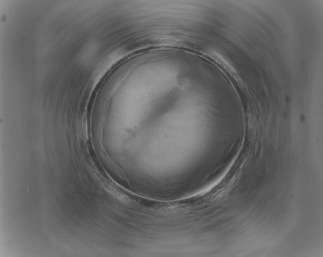 X0000076330891200610061433