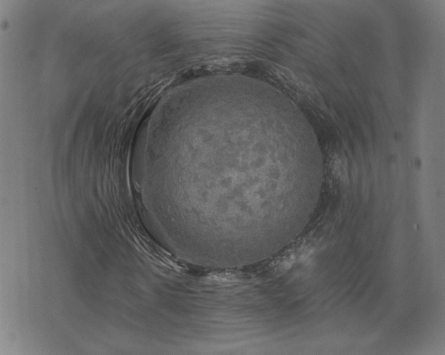 X0000076330914200610061431