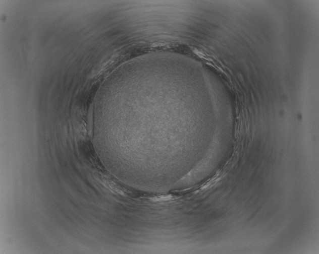X0000076330916200610061431