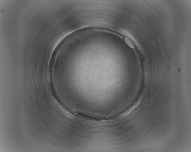 X0000076330924200610061432