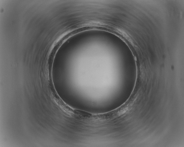 X0000076330931200610061432