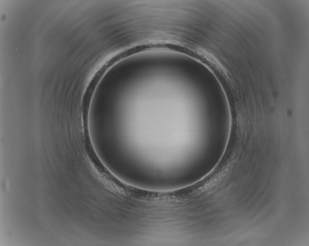 X0000076330934200610061432